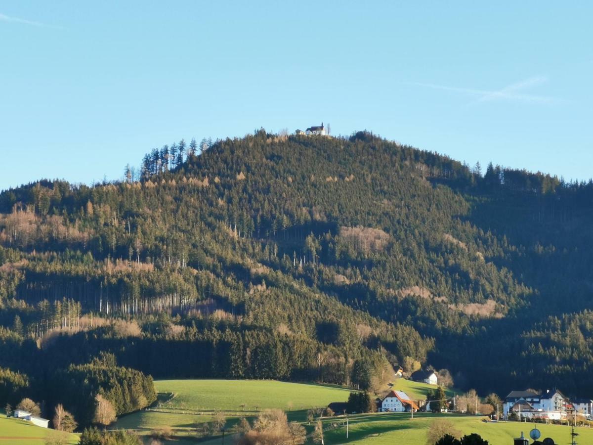 Modernes Appartement Schwarzwald Naehe Freiburg Winden im Elztal Exteriör bild