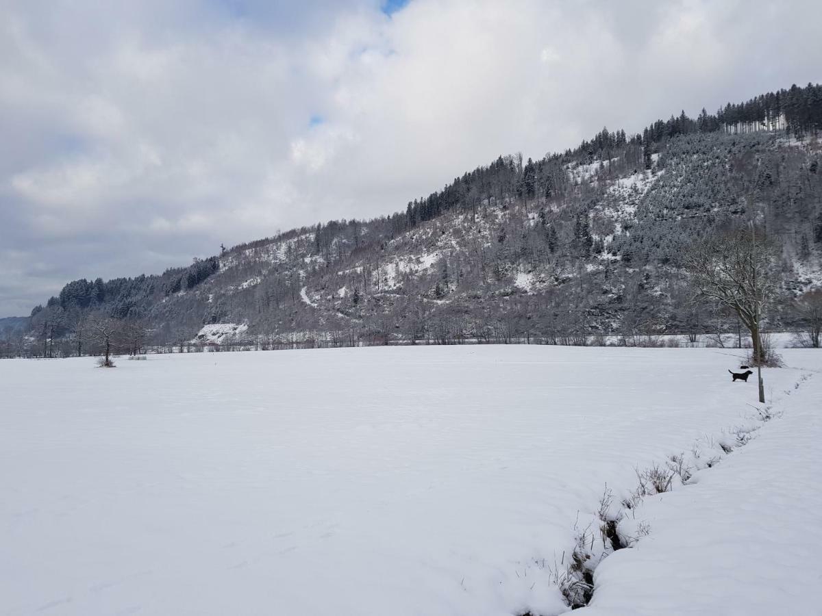 Modernes Appartement Schwarzwald Naehe Freiburg Winden im Elztal Exteriör bild