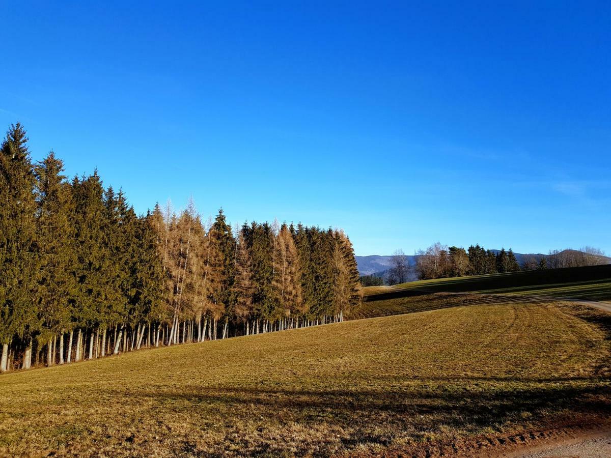 Modernes Appartement Schwarzwald Naehe Freiburg Winden im Elztal Exteriör bild