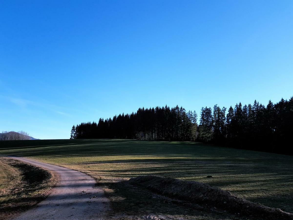Modernes Appartement Schwarzwald Naehe Freiburg Winden im Elztal Exteriör bild