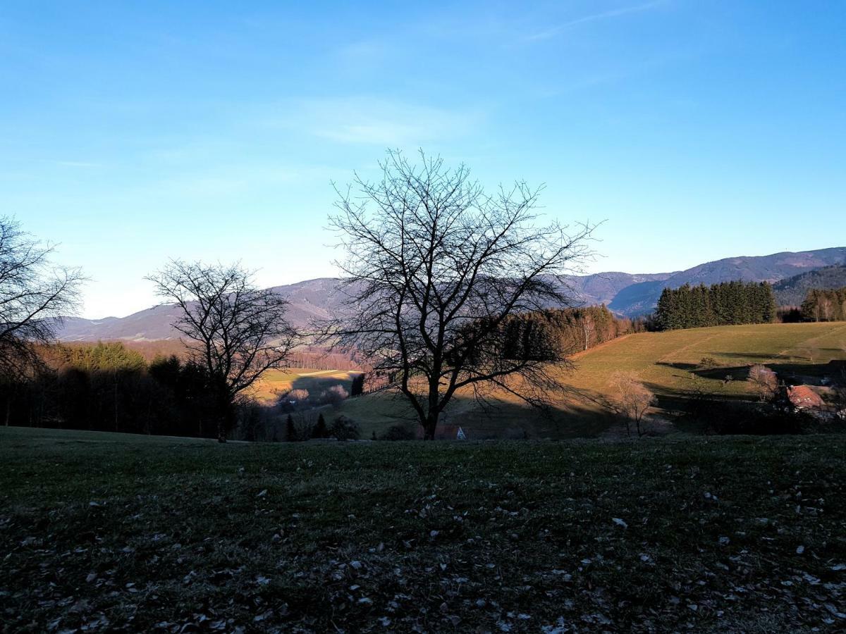 Modernes Appartement Schwarzwald Naehe Freiburg Winden im Elztal Exteriör bild